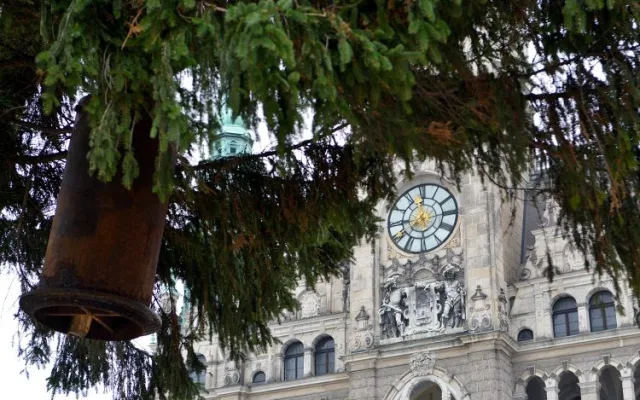 Vánoční strom už stojí před radnicí. Letos měří 14 metrů, Foto: MML/Jan Král