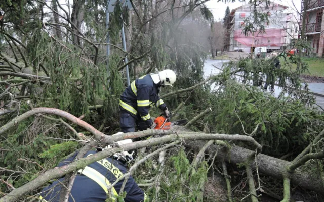 V Turnově spadl strom rovnou na přechod. Foto: HZSLK