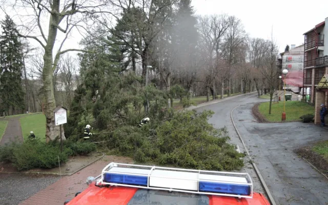 V Turnově spadl strom rovnou na přechod. Foto: HZSLK