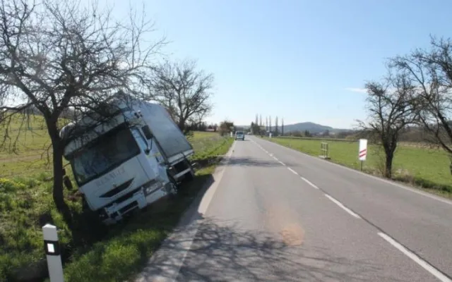 Nákladní auto zastavil řidič až o strom u silnice. Foto: Policie ČR