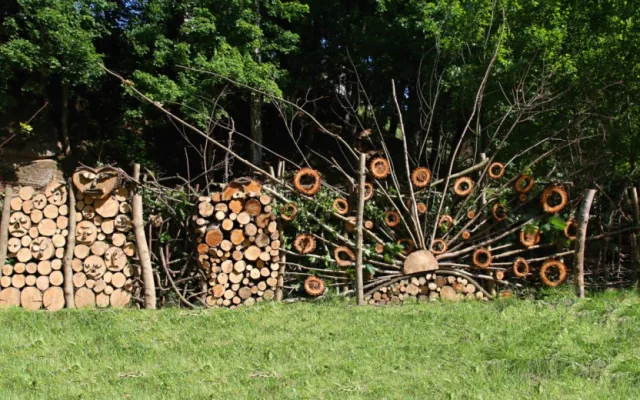 Piknikové paloučky nebo domečky na stromech. V Liberci vzniká unikátní park