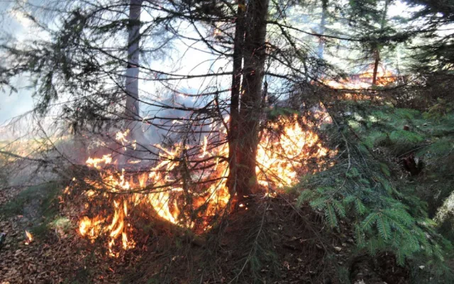 Požár v Jizerských horách. Foto: HZSLK