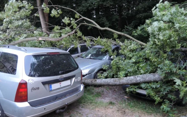Kmen stromu zdemoloval čtyři auta v Rochlici. Foto: HZSLK