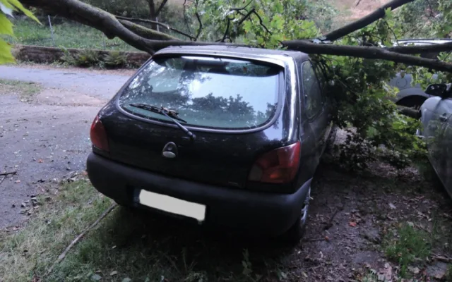 Kmen stromu zdemoloval čtyři auta v Rochlici. Foto: HZSLK