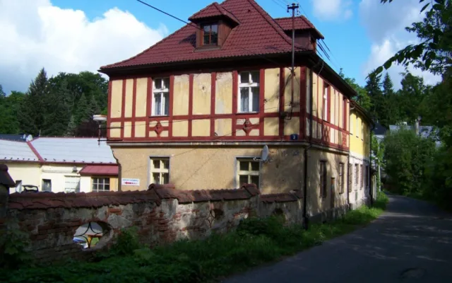 Vyřezávané poprsí skončilo pod fasádou. Foto: liberec-reichenberg.net