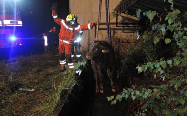 Telata spadla do nádrže s vodou, vytáhl je jeřáb. Foto: HZSLK