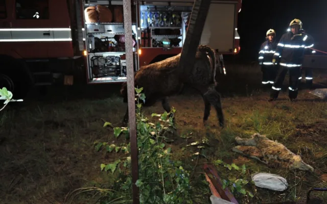 Telata spadla do nádrže s vodou, vytáhl je jeřáb. Foto: HZSLK