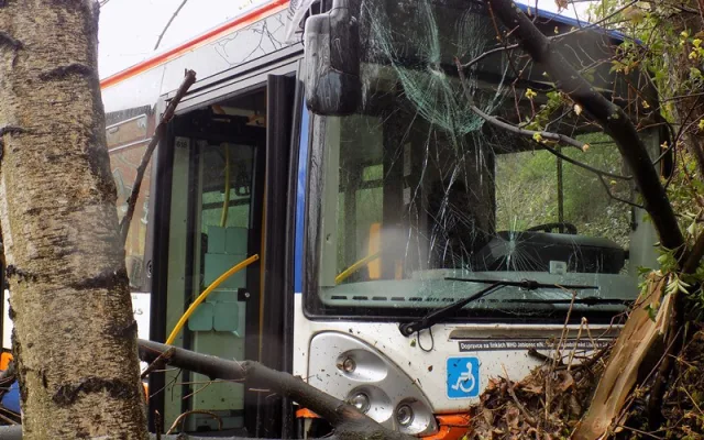 Autobus projel křižovatkou na Františkově a zastavil se až v příkopu