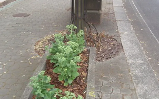 Cesta k Besedě prokoukla.