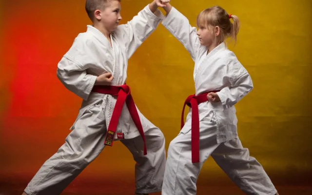 Karate je sport pro kluky i holky