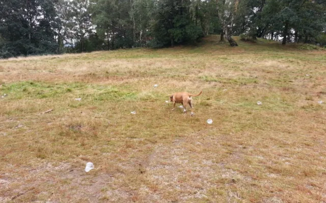Nepořádek po pouti