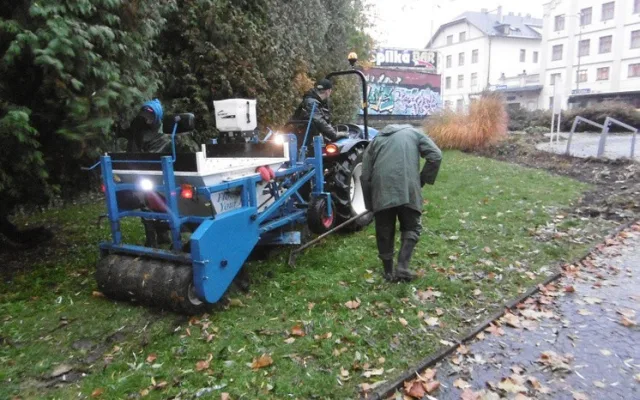 Podzimní výsadba v centru Liberce je u konce. Pomohli vězni i studenti