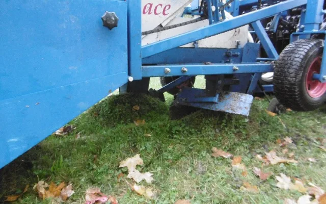 Podzimní výsadba v centru Liberce je u konce. Pomohli vězni i studenti