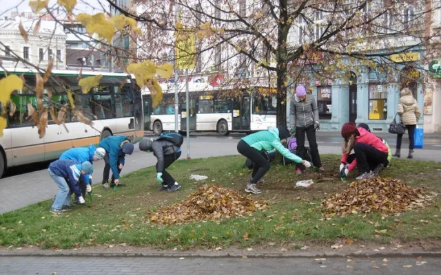 Podzimní výsadba v centru Liberce je u konce. Pomohli vězni i studenti