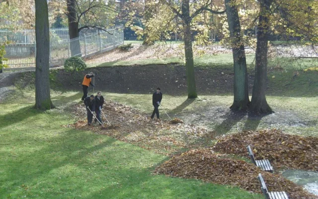 Podzimní výsadba v centru Liberce je u konce. Pomohli vězni i studenti