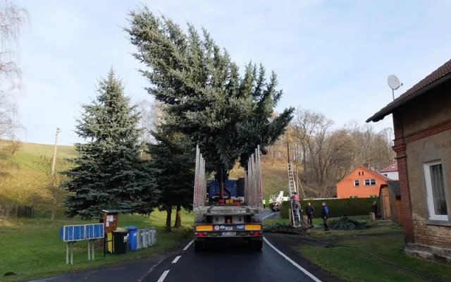 Vánoční strom mají už také ve Frýdlantu