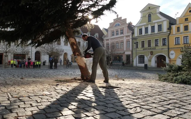 Vánoční strom mají už také ve Frýdlantu