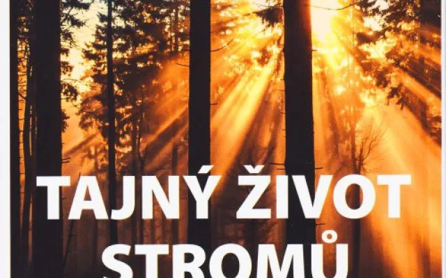 Tajný život stromů