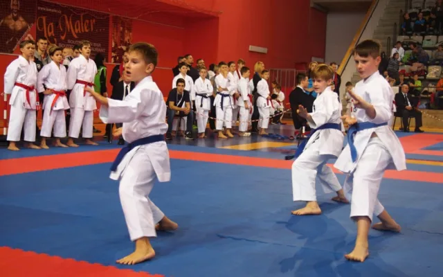 5. místo_Kata tým mladších žáků_Ondřej Filip, Filip Flajšinger a David Vedral