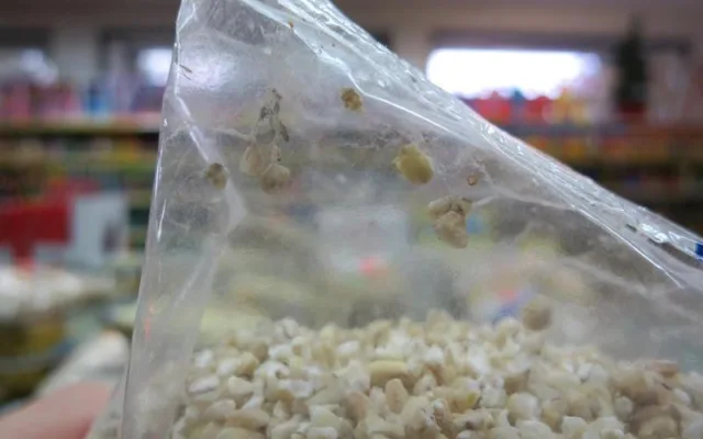 Další samoobsluha z Frýdlantska neprošla drobnohledem inspekce