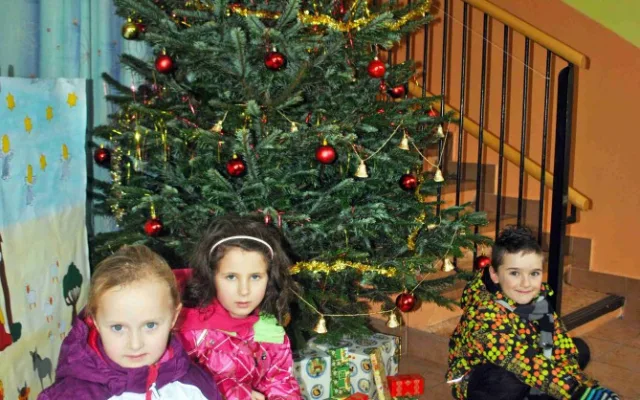 Stromek mají i v liberecké školce Stromovka