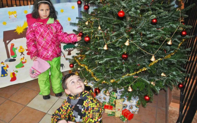 Stromek mají i v liberecké školce Stromovka