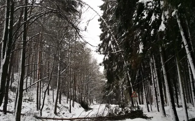 Hasiči vyjížděli během jediného dne ke stovce událostí
