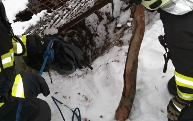 Štěně se propadlo do hluboké štoly.