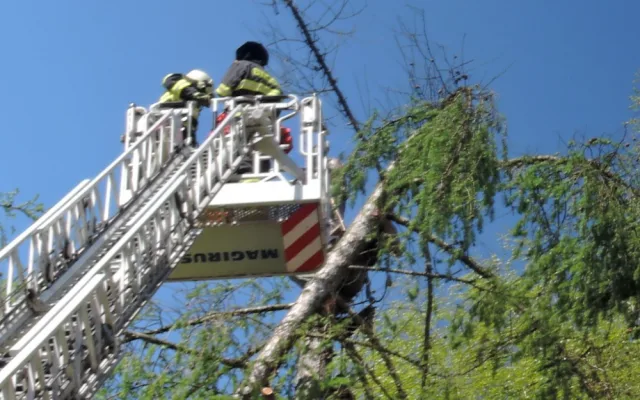 Dřevorubec uvízl 25 metrů nad zemí.