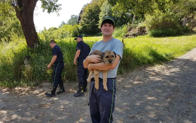 Neuvěřitelné se stalo skutečností. Border teriér Bárt se po patnácti dnech dostal živý z liščí nory.