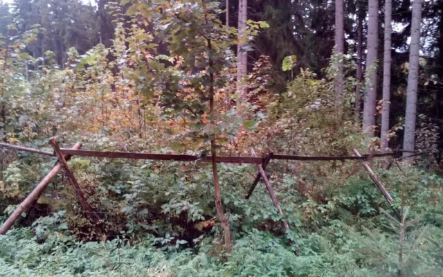 ilustrační foto.