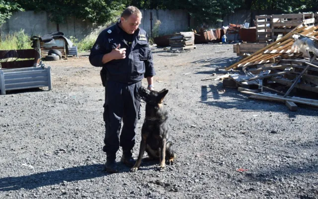 Policisté odhalili čtyři nelegálně zaměstnané cizince ve výrobně ve Frýdlantu.
