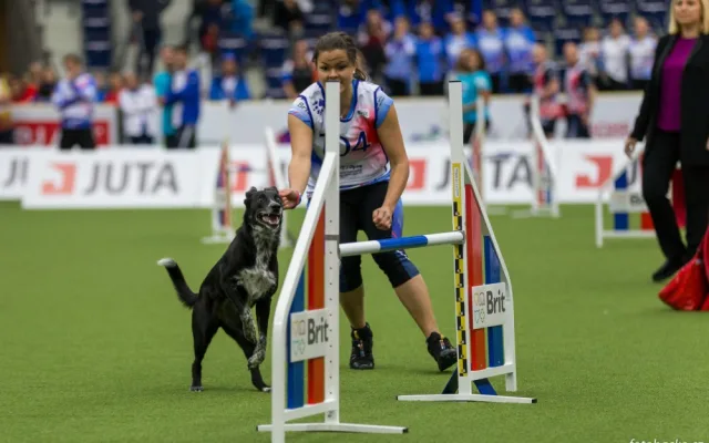 Home Credit Aréna patřila psům. Liberec hostil mistrovství světa v agility.