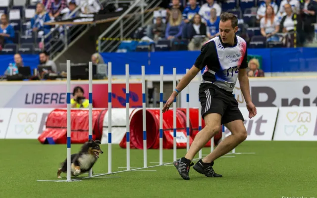 Home Credit Aréna patřila psům. Liberec hostil mistrovství světa v agility.