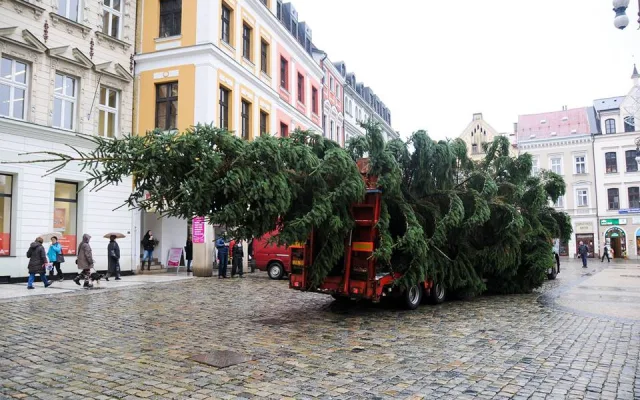 Vánoční strom dorazil na náměstí. Zítra se začne s jeho zdobením.
