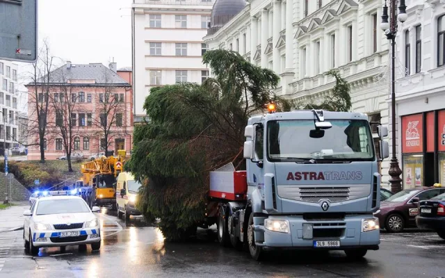Vánoční strom dorazil na náměstí. Zítra se začne s jeho zdobením.