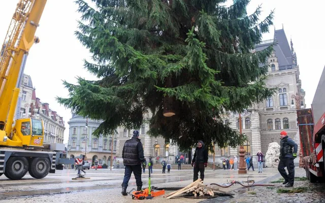 Vánoční strom dorazil na náměstí. Zítra se začne s jeho zdobením.