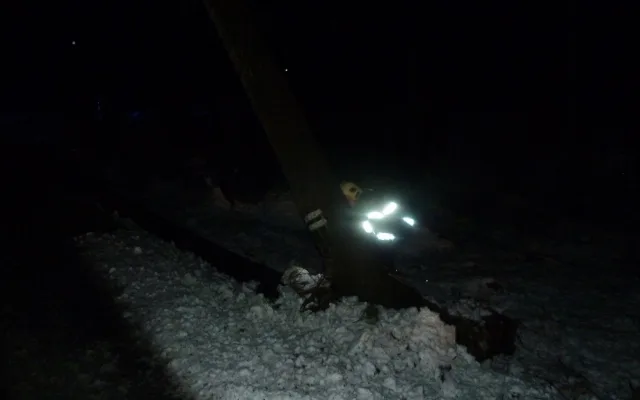 Vyvrácený strom na Horním Sedle.