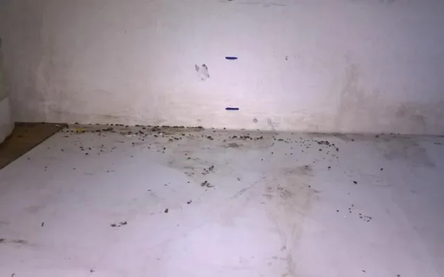 Myší trus a zanedbaný úklid. Inspekce zavřela další samoobsluhu.