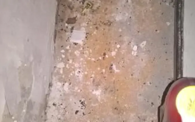 Myší trus a zanedbaný úklid. Inspekce zavřela další samoobsluhu.
