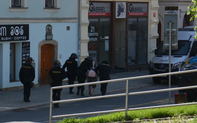 Pochod Slávistů Libercem.