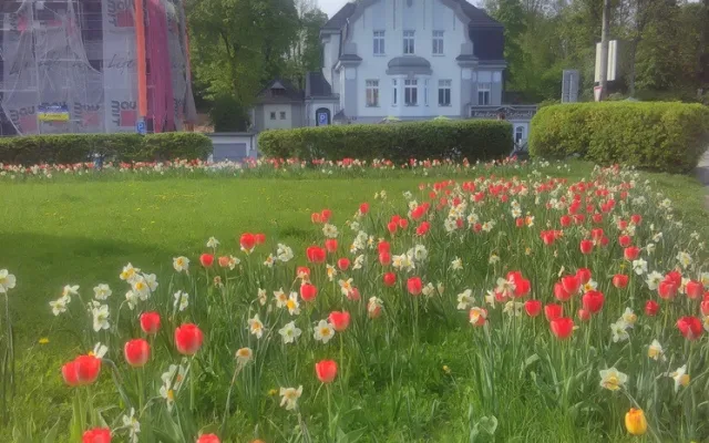 Květiny