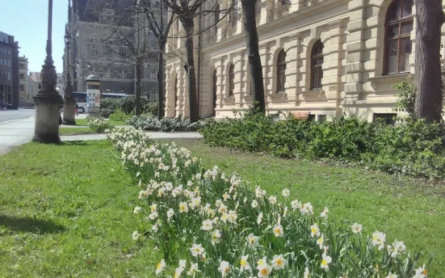 Květiny