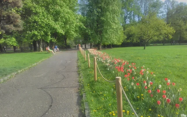 Květiny