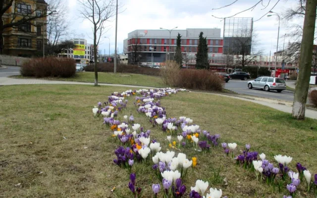 Květiny