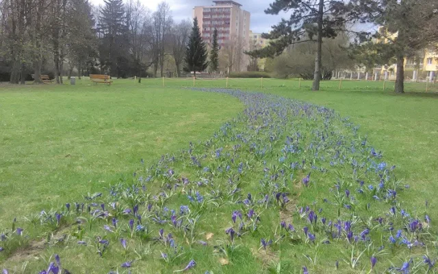 Květiny