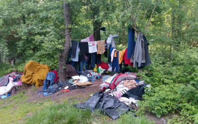 V lese žije parta bezdomovců