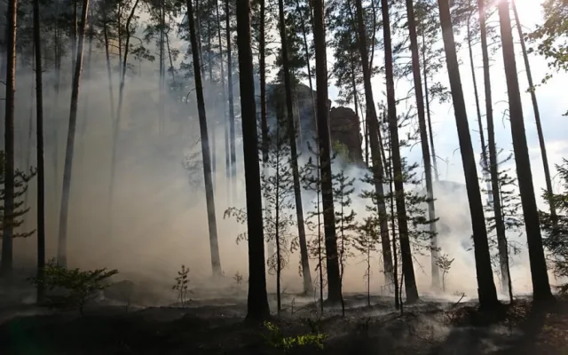 Foto z místa požáru Milan Dvořák