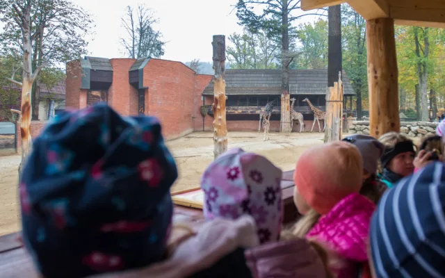 Zrekonstruovaná vyhlídka v liberecké zoo