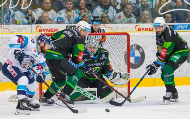 Tygři dnes oslavují, nad Energií K. Vary vyhráli 4:1.